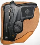 Smith & Wesson BG380 Recluse OS Front