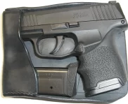 SIG Sauer P365 Recluse OS Square