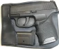 Sig Sauer P365 Recluse TS Front