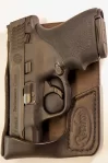Smith & Wesson Shield 9mm Recluse OS Solo