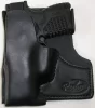 Springfield Armory XDS Recluse TS Cargo